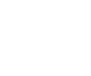 Vision Wheels
